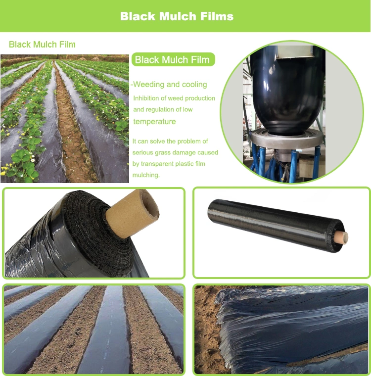 Biodegradable Mulch Film 30micron Black Plastic Mulch Layer for Sale