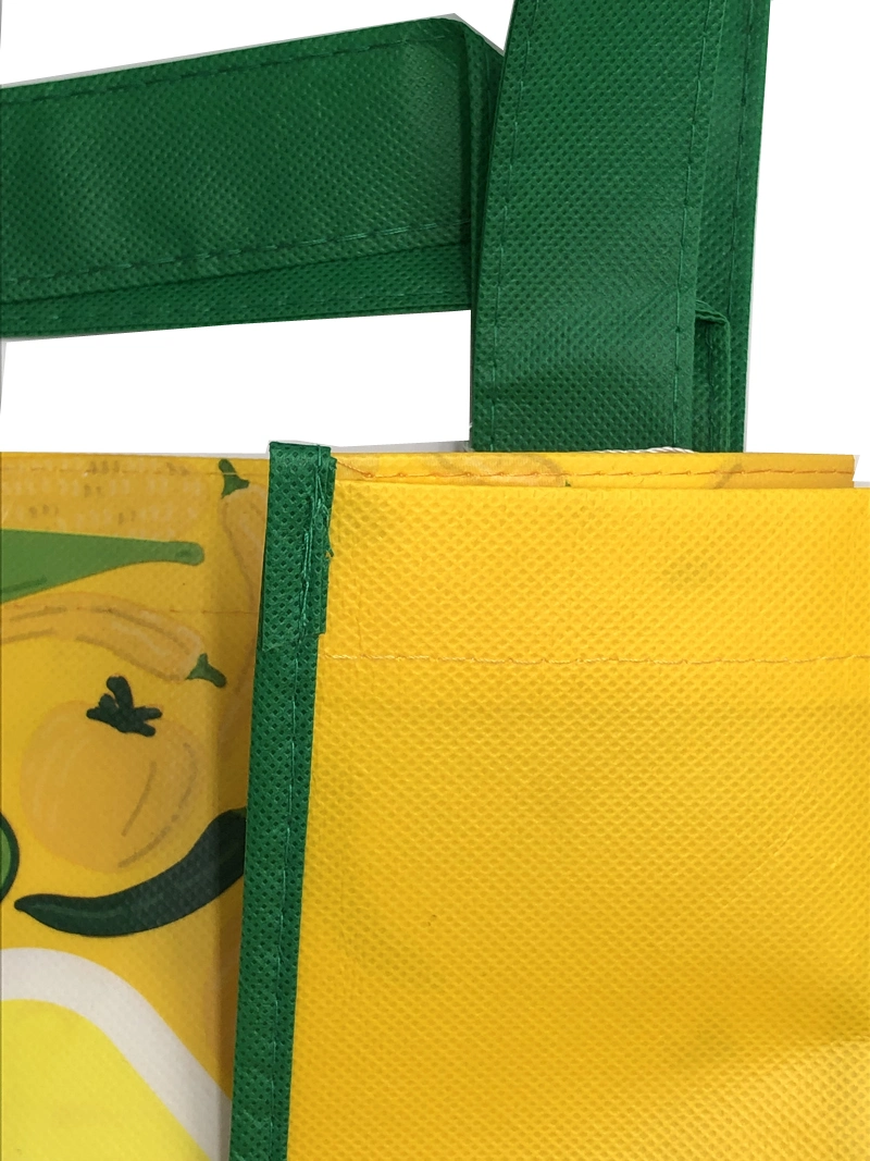 Double Handle Laminated PP Non Woven Shopping Bag for Supermarket