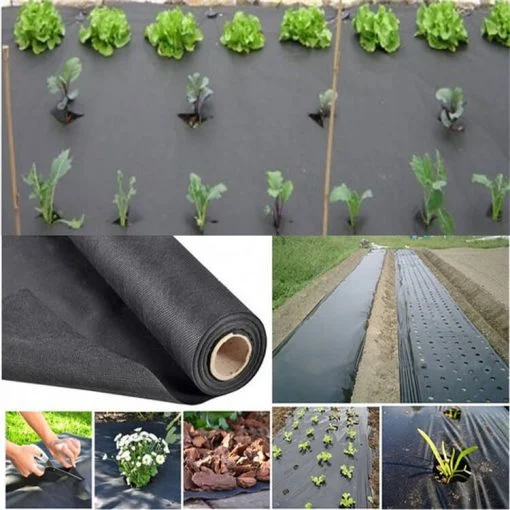 100% Virgin PP Material 70GSM Black Waterproof Fabric Breathable Non Woven Fabric for Agriculture