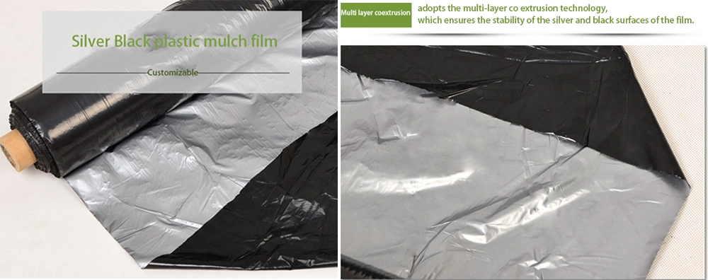 Biodegradable Silver Black PE Mulch Film Plastic Mulch to Maintain Soil Moisture