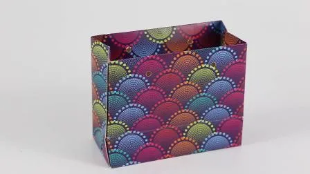 Bolsas de papel de embalaje de diseño personalizado con asas de algodón